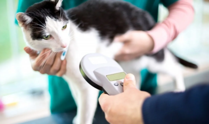 GPS Chip in Pets…