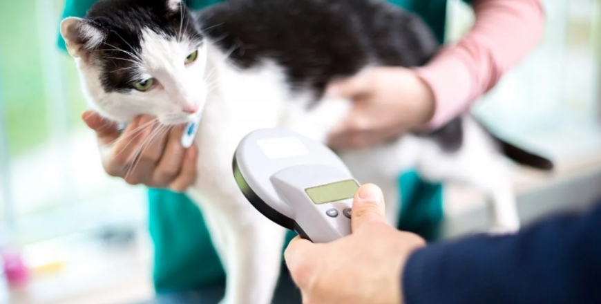 GPS Chip in Pets…