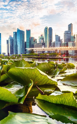 Top 10 Greenest Cities in Canada (2024)