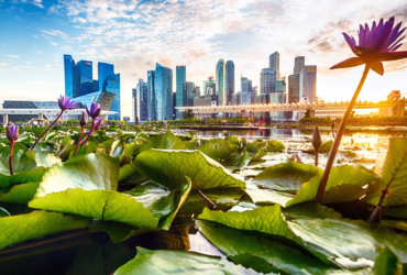 Top 10 Greenest Cities in Canada (2024)