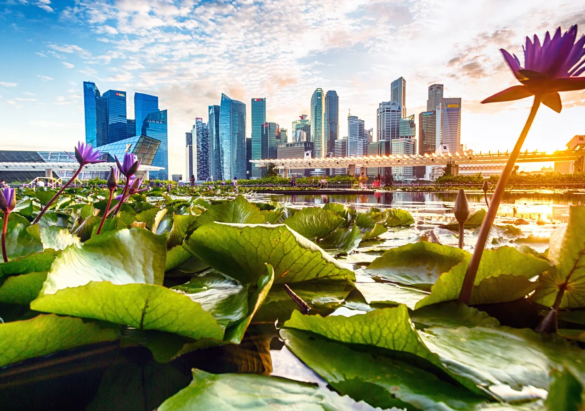 Top 10 Greenest Cities in Canada (2024)