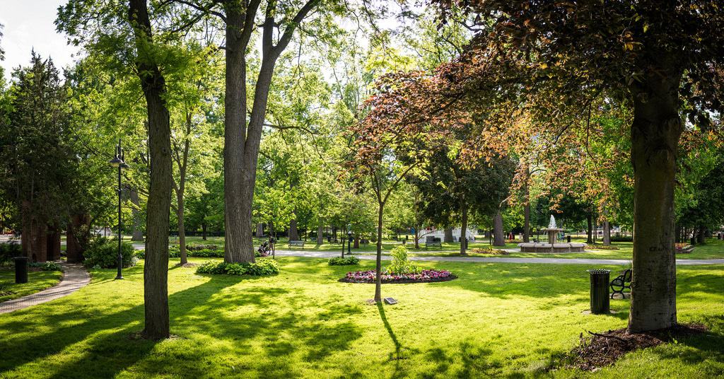 Brampton, ON Brampton, ON